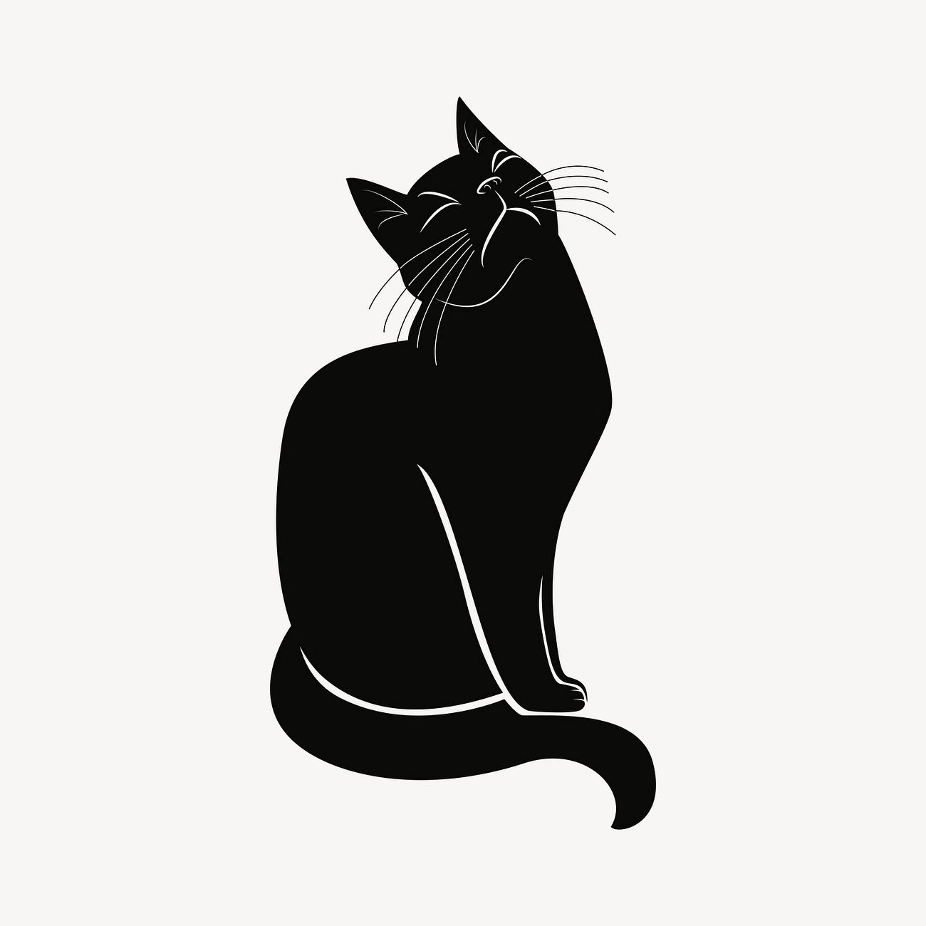 Black Cat Fitzroy